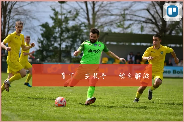 開雲體育下載安装手冊 综合解读