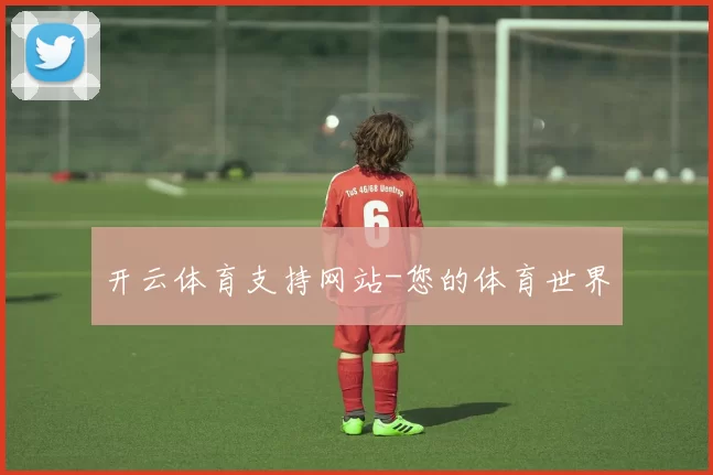开云体育支持网站-您的体育世界