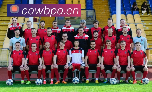 App Interface Preview